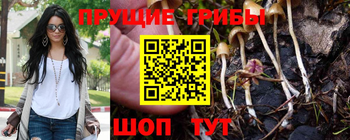 Галлюциногенные грибы Magic Shrooms  Галлюциногенные грибы MAGIC MUSHROOMS  Вход с VPN  Удомля 