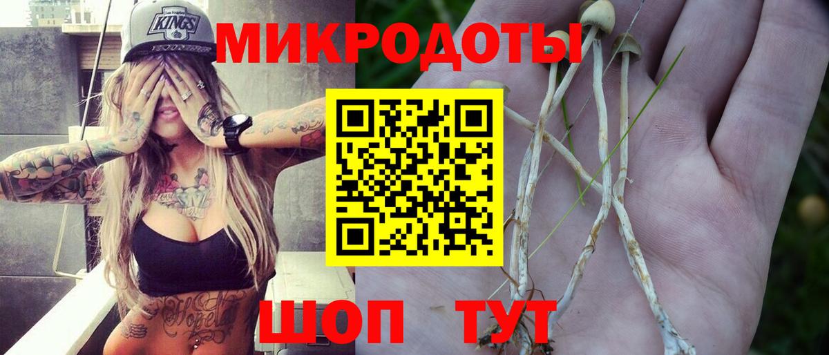 Галлюциногенные грибы ЛСД Удомля